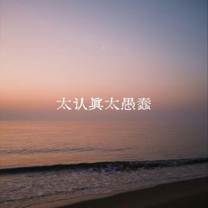 太认真太愚蠢