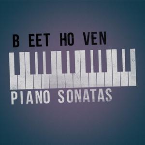 Piano Sonata No. 3 in C Major, Op. 2: IV. Allegro assai