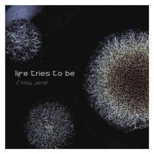 Life tries to be