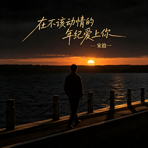 在不该动情的年纪爱上你