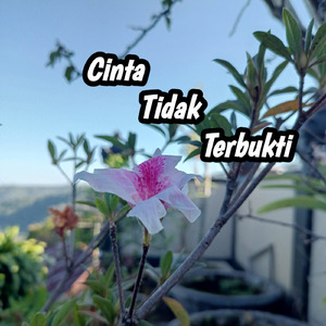 Cinta Tidak Terbukti