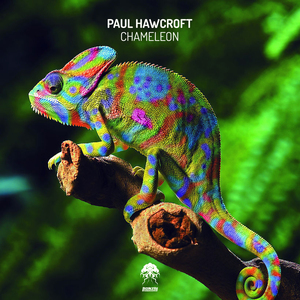Chameleon (Original Mix)