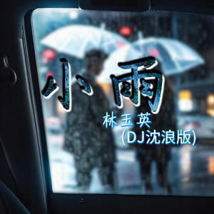 小雨（DJ沈浪版）