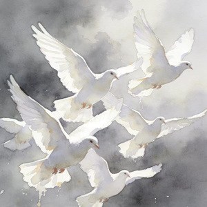 [Free]"白鸽" Emo piano type beat