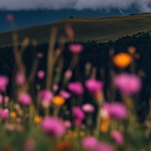 这个季节