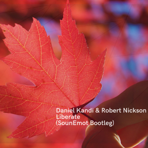 Liberate  (SounEmot Remix Bootleg)