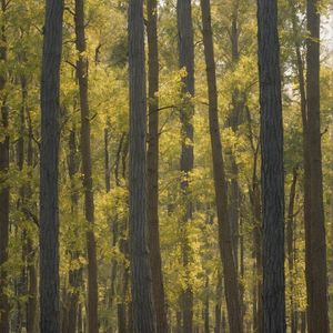 惊魂甫定格投影