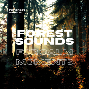 Total Forest