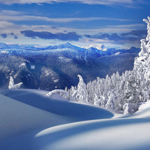 季风吹过橘色的海