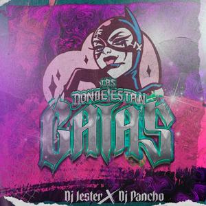 Donde estan las gatas (feat. Dj Jester)