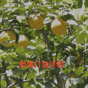 老果开挂打油诗歌