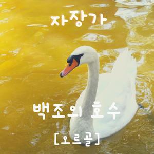 백조의 호수 (Music Box)