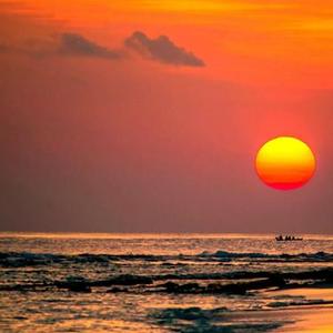 思绪缠绕 (舒缓解压纯音乐)