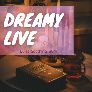 The Gentle Rest of the Night