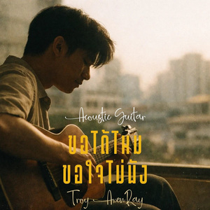 ขอได้ไหม ขอใจไม่พัง (กีตาร์อะคูสติก)