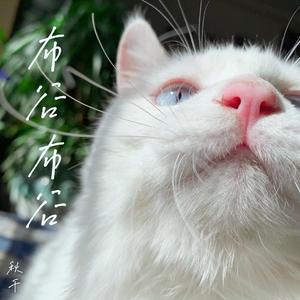 流浪猫