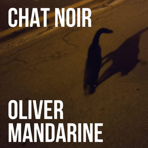 Chat Noir