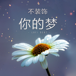 不装饰你的梦 (Lofi Beat)