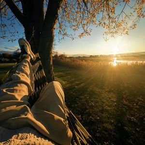 Tomar（Instrument）