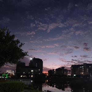 假装 （cover：陈雪凝）