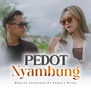 Pedot Nyambung