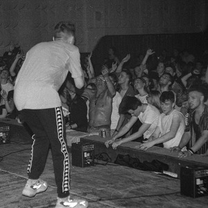 Весь мир шум