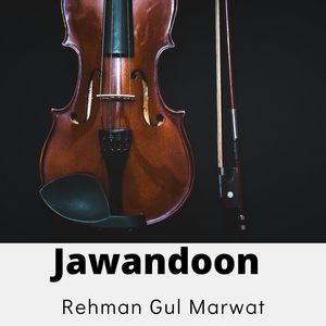 Jawandoon
