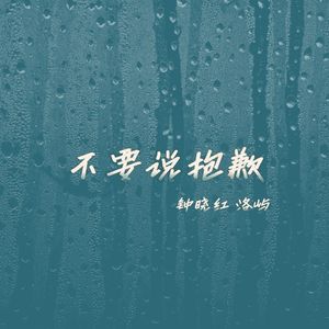 不要说抱歉（Disco版）