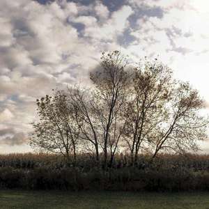 左手保护你的腰