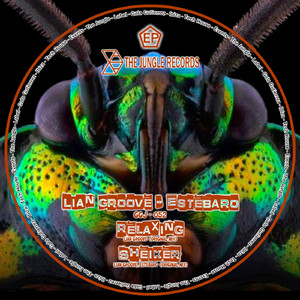 Sheiker (Original Mix)