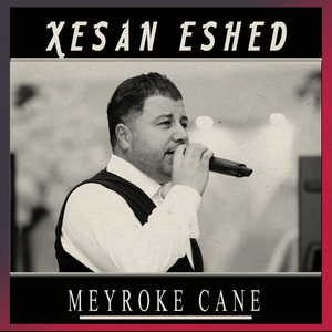 Meyroke Cane