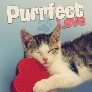 For the Love of a Princess (Instrumental)