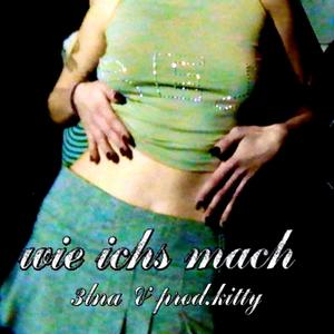 WIE ICHS MACH (feat. prod.kitty)