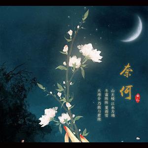 奈何乐队