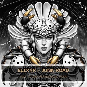 JUNK ROAD