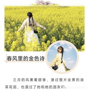 春风里的黄金诗