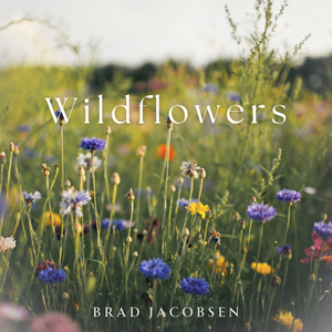 Wildflowers