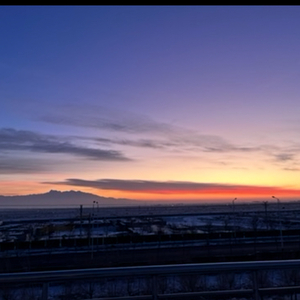 单车阳光下的欢笑