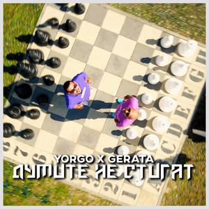 Думите не стигат (feat. Gerata)