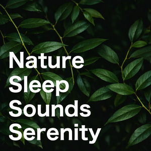 聴きながら寝るための睡眠導入音楽 3分で眠れる癒しのギター (自律神経を整える睡眠用 森 鳥)