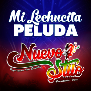 Mi Lechucita Peluda