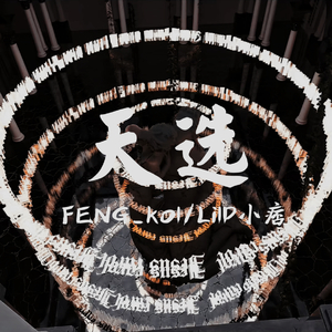 天选（chosen one）