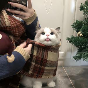 爱的就是你（女生版）