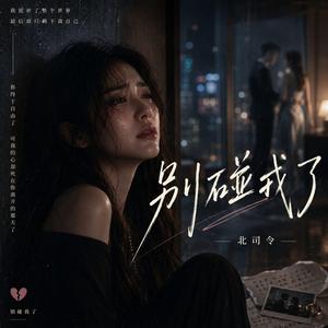 别碰我了