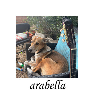 Arabella