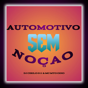 AUTOMOTIVO SEM NOÇÃO