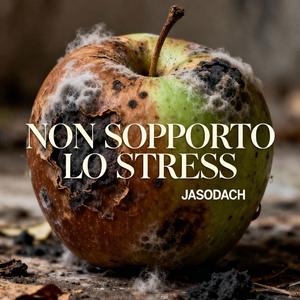 NON SOPPORTO LO STRESS