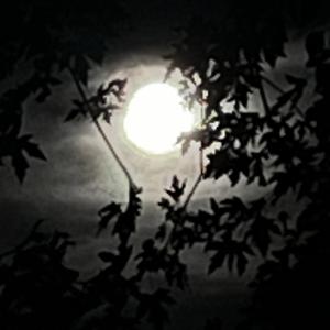 HELP_//SEMBLANCE_MIX\\