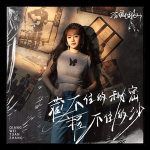 藏不住的秘密握不住的沙 (DJ默涵版)