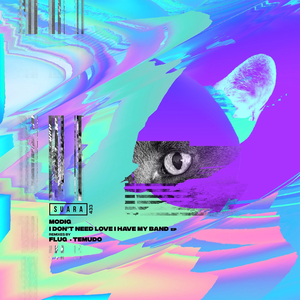 Object 0892 (Flug Remix)